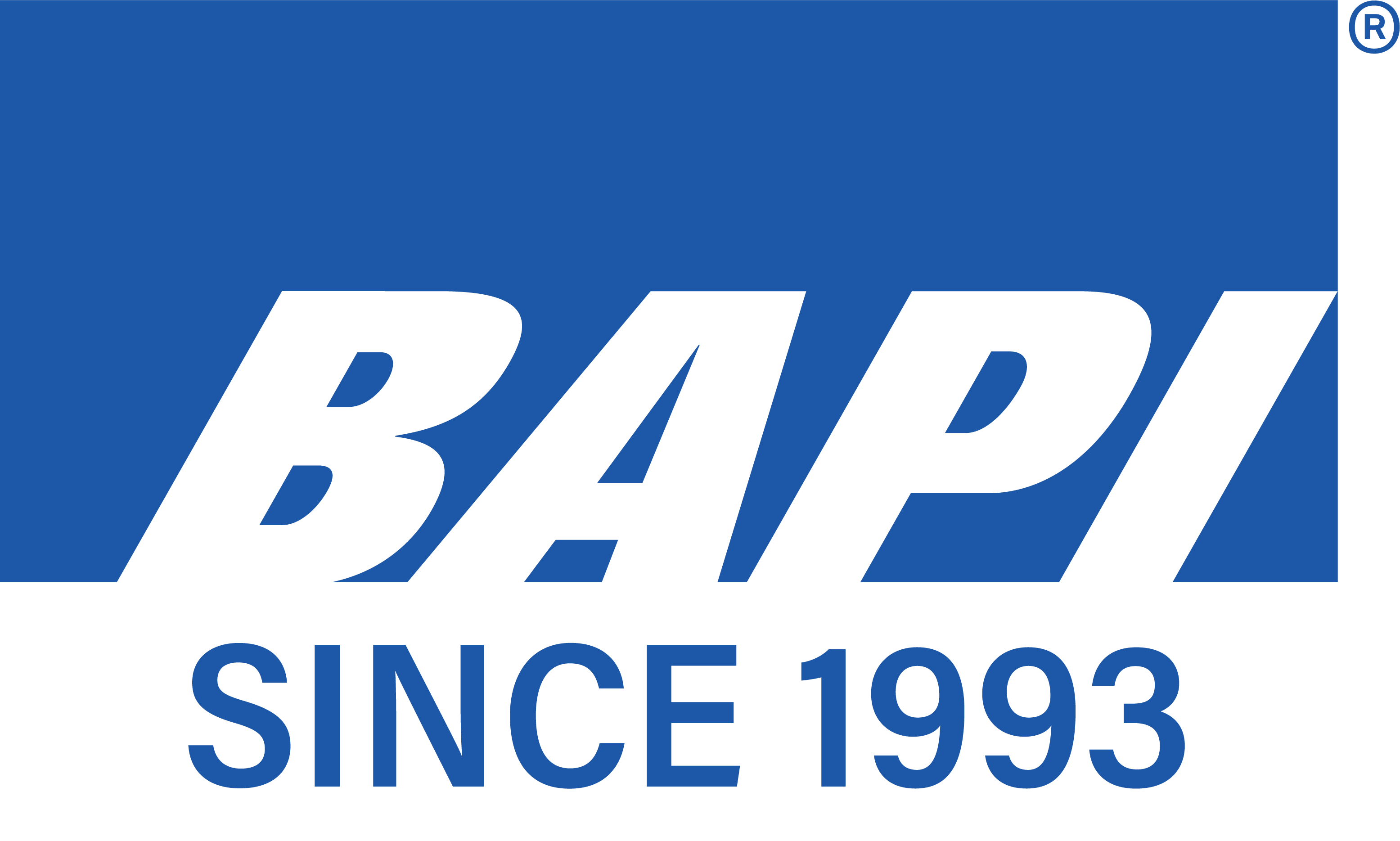 108983161 bapi logo 1993 web digital